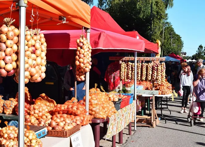 Kallaste Hostel * كالّاسته